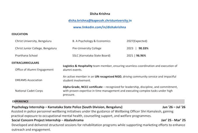 professional CV or resume building
